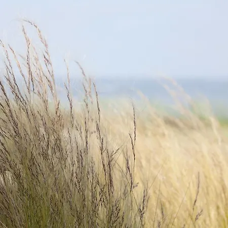 Anne De Bretagne 4* Préfailles