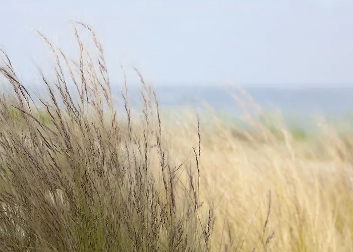 Anne De Bretagne 4* Préfailles